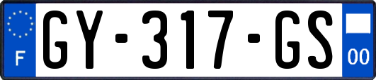 GY-317-GS