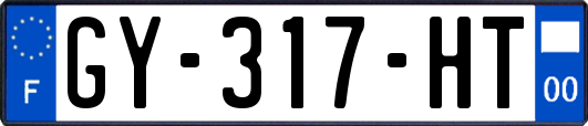 GY-317-HT