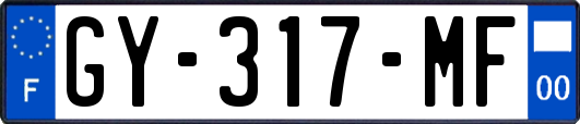 GY-317-MF