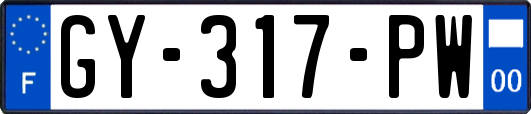GY-317-PW