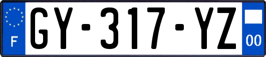 GY-317-YZ