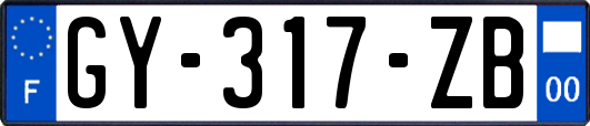 GY-317-ZB