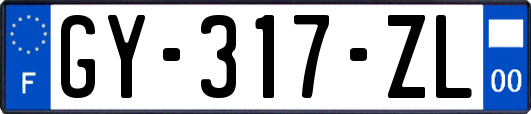 GY-317-ZL