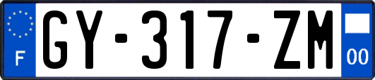 GY-317-ZM