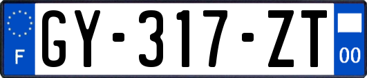 GY-317-ZT