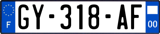 GY-318-AF