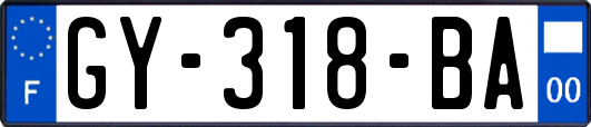 GY-318-BA