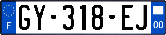 GY-318-EJ
