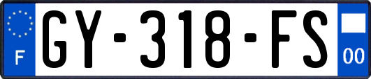 GY-318-FS