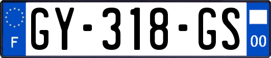 GY-318-GS