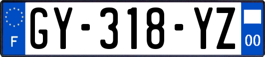 GY-318-YZ
