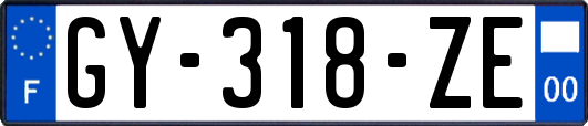 GY-318-ZE