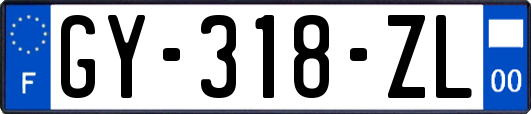 GY-318-ZL
