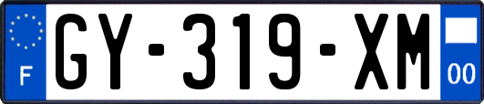 GY-319-XM