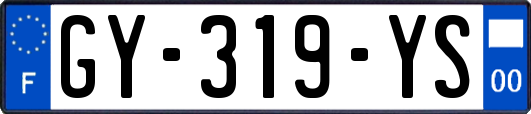 GY-319-YS