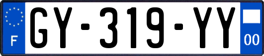 GY-319-YY