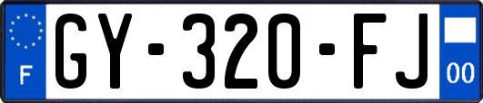 GY-320-FJ