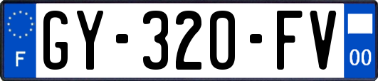 GY-320-FV