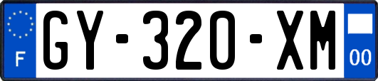 GY-320-XM