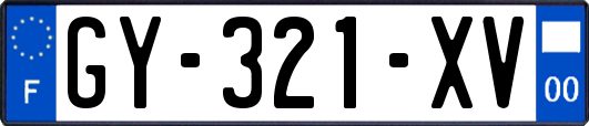 GY-321-XV
