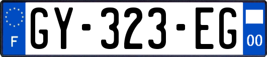 GY-323-EG