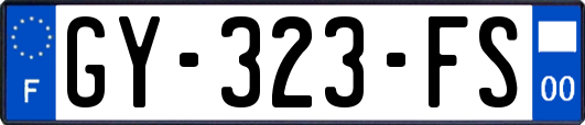GY-323-FS