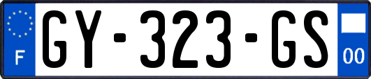 GY-323-GS