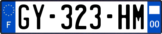 GY-323-HM