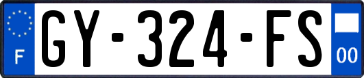 GY-324-FS