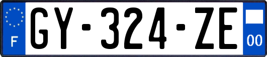 GY-324-ZE
