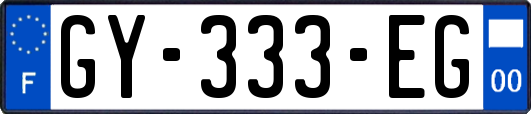 GY-333-EG