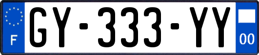 GY-333-YY
