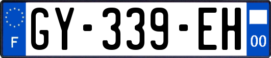 GY-339-EH
