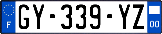 GY-339-YZ
