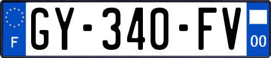 GY-340-FV