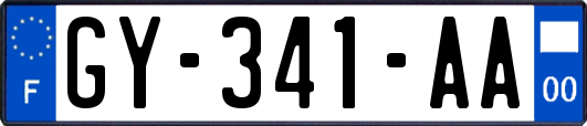 GY-341-AA