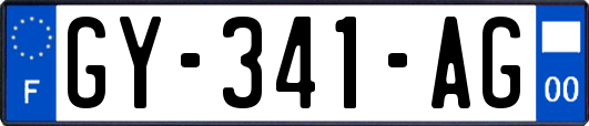 GY-341-AG