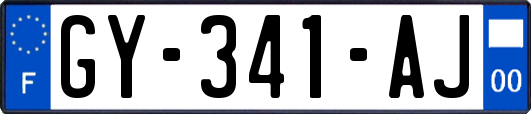 GY-341-AJ