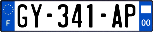 GY-341-AP