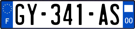 GY-341-AS