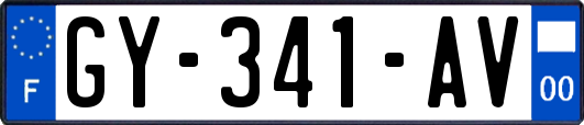 GY-341-AV