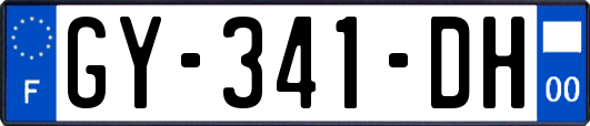 GY-341-DH