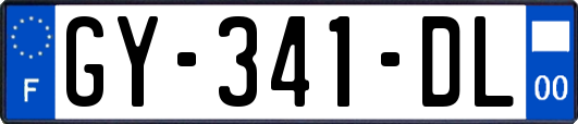 GY-341-DL
