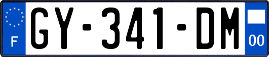GY-341-DM