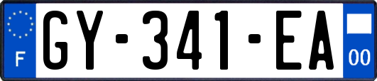 GY-341-EA
