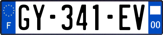GY-341-EV