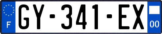 GY-341-EX
