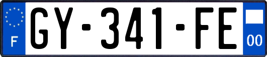 GY-341-FE