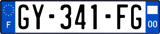 GY-341-FG
