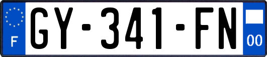 GY-341-FN